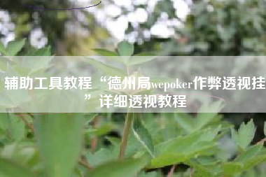 辅助工具教程“德州局wepoker作弊透视挂”详细透视教程