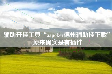 辅助开挂工具“aapoker德州辅助挂下载	”(原来确实是有插件