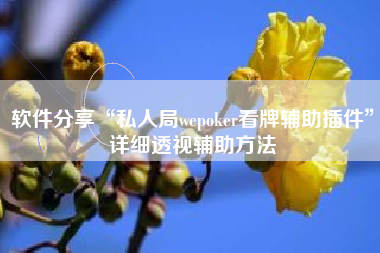 软件分享“私人局wepoker看牌辅助插件”详细透视辅助方法