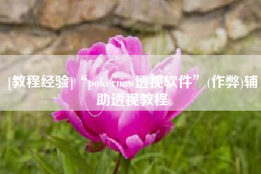 [教程经验]“pokernow透视软件”(作弊)辅助透视教程