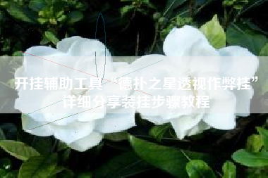 开挂辅助工具“德扑之星透视作弊挂”详细分享装挂步骤教程