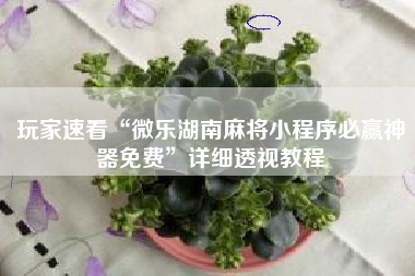 玩家速看“微乐湖南麻将小程序必赢神器免费	”详细透视教程