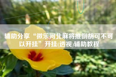 辅助分享“微乐河北麻将推倒胡可不可以开挂	”开挂(透视)辅助教程