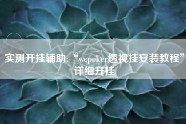 实测开挂辅助:“wepoker透视挂安装教程”详细开挂