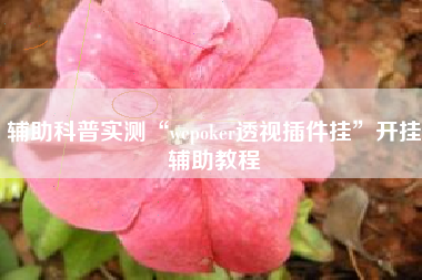 辅助科普实测“wepoker透视插件挂”开挂辅助教程