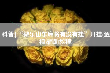 科普|“微乐山东麻将有没有挂”开挂(透视)辅助教程!