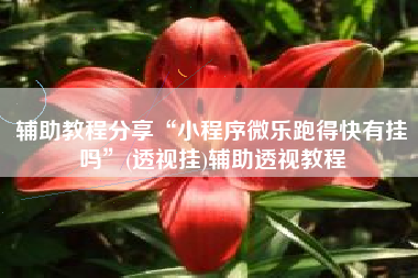 辅助教程分享“小程序微乐跑得快有挂吗”(透视挂)辅助透视教程