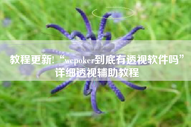 教程更新!“wepoker到底有透视软件吗”详细透视辅助教程