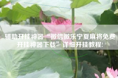 辅助开挂神器“微信微乐宁夏麻将免费开挂神器下载	”详细开挂教程!