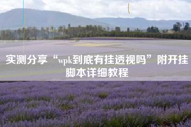 实测分享“wpk到底有挂透视吗”附开挂脚本详细教程