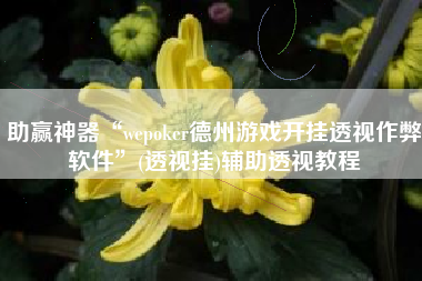助赢神器“wepoker德州游戏开挂透视作弊软件	”(透视挂)辅助透视教程