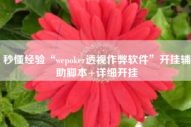 秒懂经验“wepoker透视作弊软件”开挂辅助脚本+详细开挂