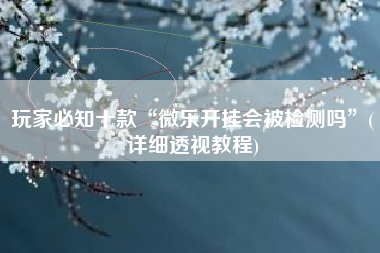 玩家必知十款“微乐开挂会被检测吗”(详细透视教程)