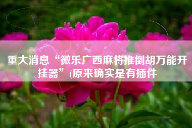 重大消息“微乐广西麻将推倒胡万能开挂器”(原来确实是有插件