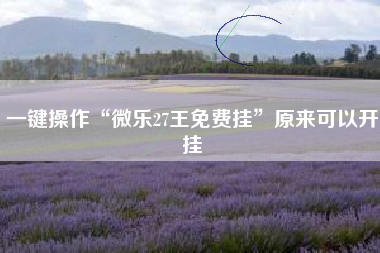 一键操作“微乐27王免费挂”原来可以开挂