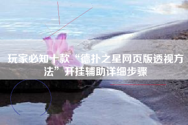 玩家必知十款“德扑之星网页版透视方法”开挂辅助详细步骤