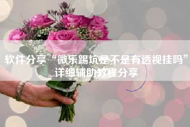 软件分享“微乐踢坑是不是有透视挂吗”详细辅助教程分享