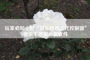 玩家必知十款“微乐陕西三代控制器”微乐干瞪眼必赢软件