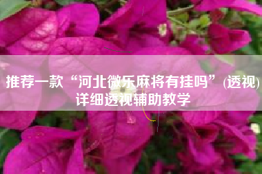 推荐一款“河北微乐麻将有挂吗	”(透视)详细透视辅助教学