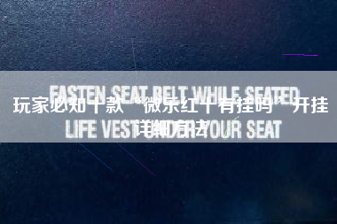 玩家必知十款“微乐红十有挂吗”开挂详细方法