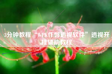 3分钟教程“WPK作弊透视软件”透视开挂辅助教程