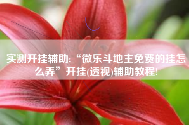 实测开挂辅助:“微乐斗地主免费的挂怎么弄”开挂(透视)辅助教程!