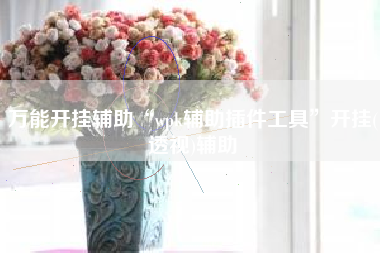 万能开挂辅助“wpk辅助插件工具	”开挂(透视)辅助