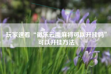 玩家速看“微乐云南麻将可以开挂吗”可以开挂方法
