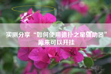 实测分享“如何使用德扑之星辅助器”原来可以开挂