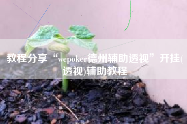 教程分享“wepoker德州辅助透视	”开挂(透视)辅助教程