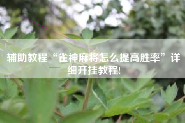 辅助教程“雀神麻将怎么提高胜率	”详细开挂教程!