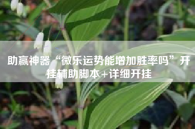 助赢神器“微乐运势能增加胜率吗	”开挂辅助脚本+详细开挂