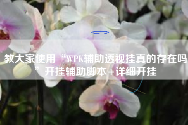 教大家使用“WPK辅助透视挂真的存在吗”开挂辅助脚本+详细开挂