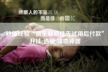 秒懂经验“微乐麻将挂先试用后付款”开挂(透视)辅助神器