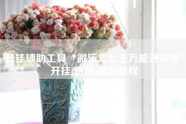 开挂辅助工具“微乐二七王万能开挂器”开挂(透视)辅助教程