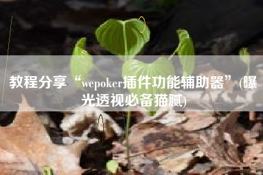 教程分享“wepoker插件功能辅助器”(曝光透视必备猫腻)