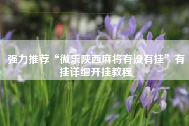 强力推荐“微乐陕西麻将有没有挂”有挂详细开挂教程