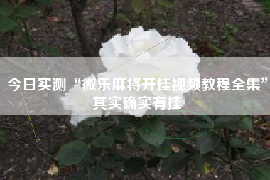 今日实测“微乐麻将开挂视频教程全集	”其实确实有挂