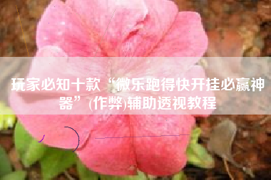 玩家必知十款“微乐跑得快开挂必赢神器	”(作弊)辅助透视教程