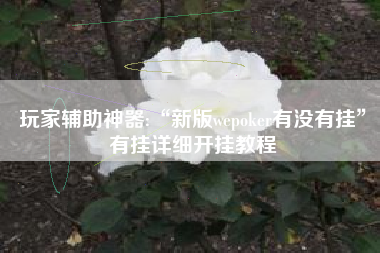 玩家辅助神器:“新版wepoker有没有挂”有挂详细开挂教程