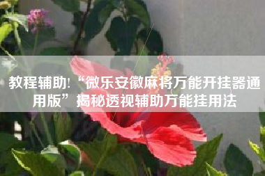教程辅助!“微乐安徽麻将万能开挂器通用版	”揭秘透视辅助万能挂用法