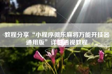 教程分享“小程序微乐麻将万能开挂器通用版”详细透视教程