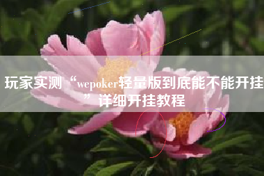 玩家实测“wepoker轻量版到底能不能开挂	”详细开挂教程