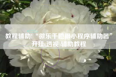 教程辅助!“微乐干瞪眼小程序辅助器	”开挂(透视)辅助教程