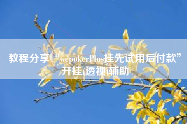 教程分享“wepokerPlus挂先试用后付款”开挂(透视)辅助