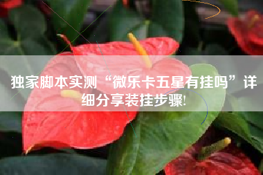 独家脚本实测“微乐卡五星有挂吗	”详细分享装挂步骤!