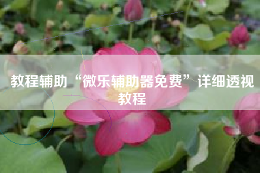 教程辅助“微乐辅助器免费	”详细透视教程