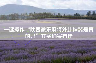 一键操作“陕西微乐麻将外卦神器是真的吗	”其实确实有挂