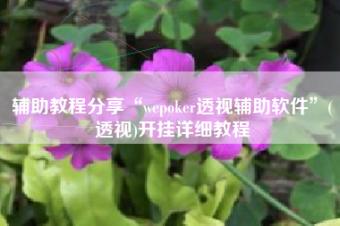 辅助教程分享“wepoker透视辅助软件”(透视)开挂详细教程