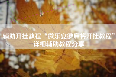 辅助开挂教程“微乐安徽麻将开挂教程”详细辅助教程分享